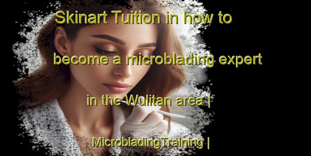 Skinart Tuition in how to become a microblading expert in the Wulitan area | MicrobladingTraining | MicrobladingClasses | SkinartTraining-China